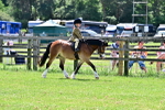 SBM_06019
