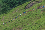 Coniston Seniors-11