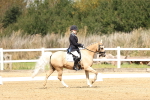 SBM_018203