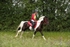 SPXX0736