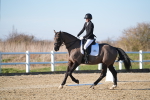 SBM_004453