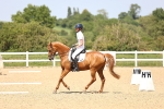 SBM_010077