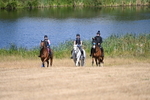 WJ6_8302