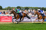 130826-Race 1-Not My Type-7868