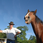 Spancil Hill Horse fair