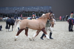 SBM_006205