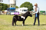 SBM_01930
