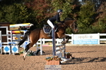 Cls 22 British Novice & 90cm Open portfolio