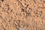 260426-082234-17401