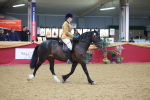 SBM_10675