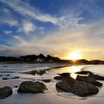 Tawharanui
