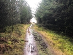 017b A second muddy view