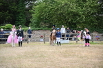 WJ6_9196