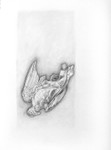 Pigeon 1