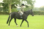 SBM_73921