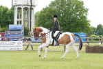 SBM_17585