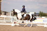SBM_08036
