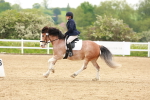 SBM_006457