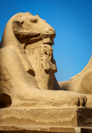 Karnak incl Mut Ptah Khonsu Opet Temples-12