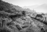 Early Morning at Glanmore, Beara Peninsula, Co Kerry