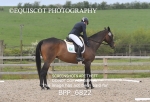 BPP_6822