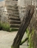 Harbour Steps