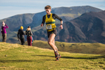 Sale Fell-172