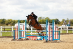 SBM_001019