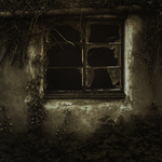 Broken Window