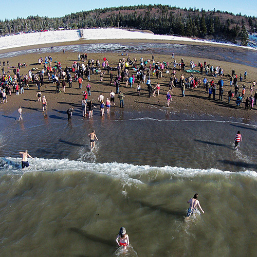 Mispec Polar Dip - 2015