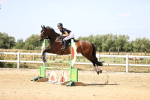 SBM_007978