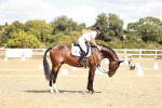 SBM_009870