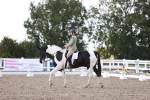 SBM_07962