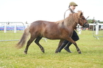 DSC04664