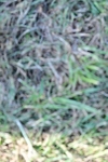 SBM_19841