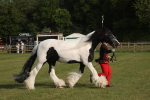 SBM_10569