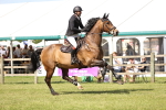SBM_08997