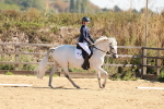 SBM_010519