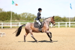 SBM_001583