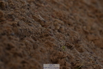 231104A-134728-01918