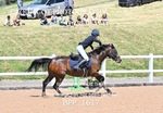 BPP_1617