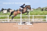 BPP_2365