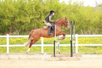 SBM_005681