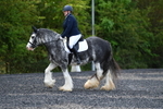 WJ5_9106