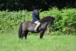 WJ7_1200