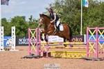 Cls 19 85cm Amateur Qualifier portfolio