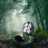 Chalice Well