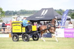 SBM_06977