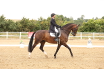 SBM_006417