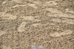 230618-080256-08613
